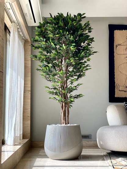 Artificial Natura Ficus Plant - 7 Feet