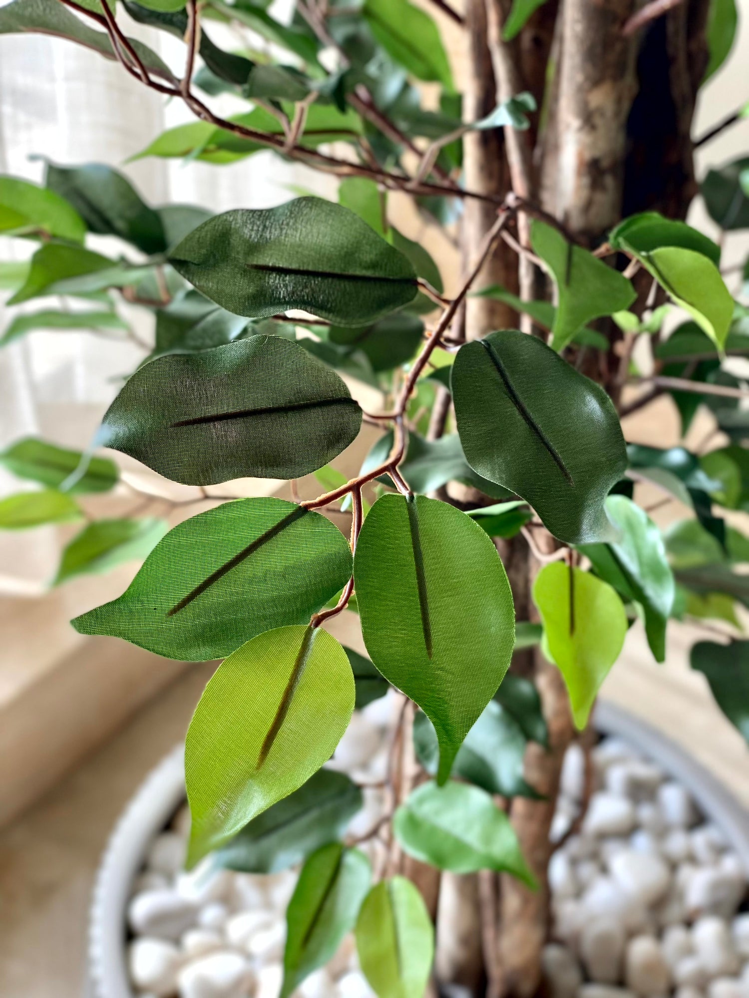 Artificial Natura Ficus Plant - 7 Feet