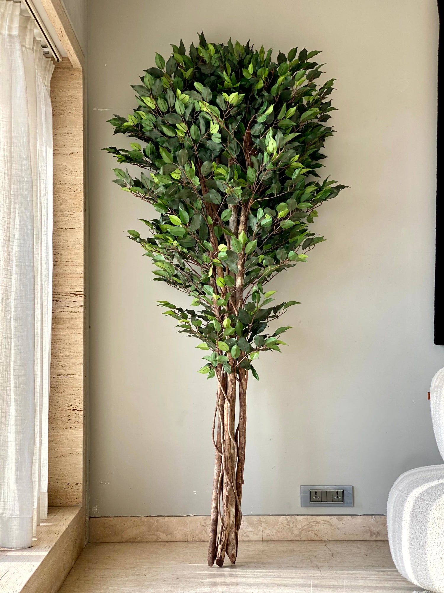 Artificial Natura Ficus Plant - 7 Feet