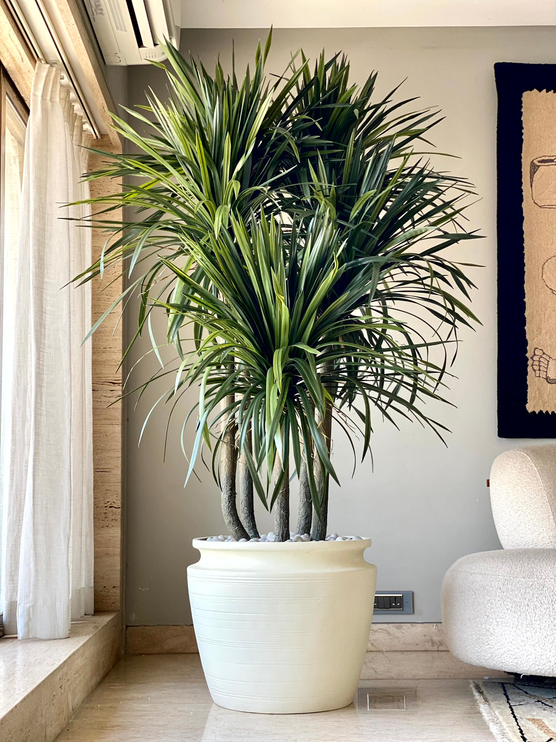 Artificial Dragon Quintara Plant - 7 Feet