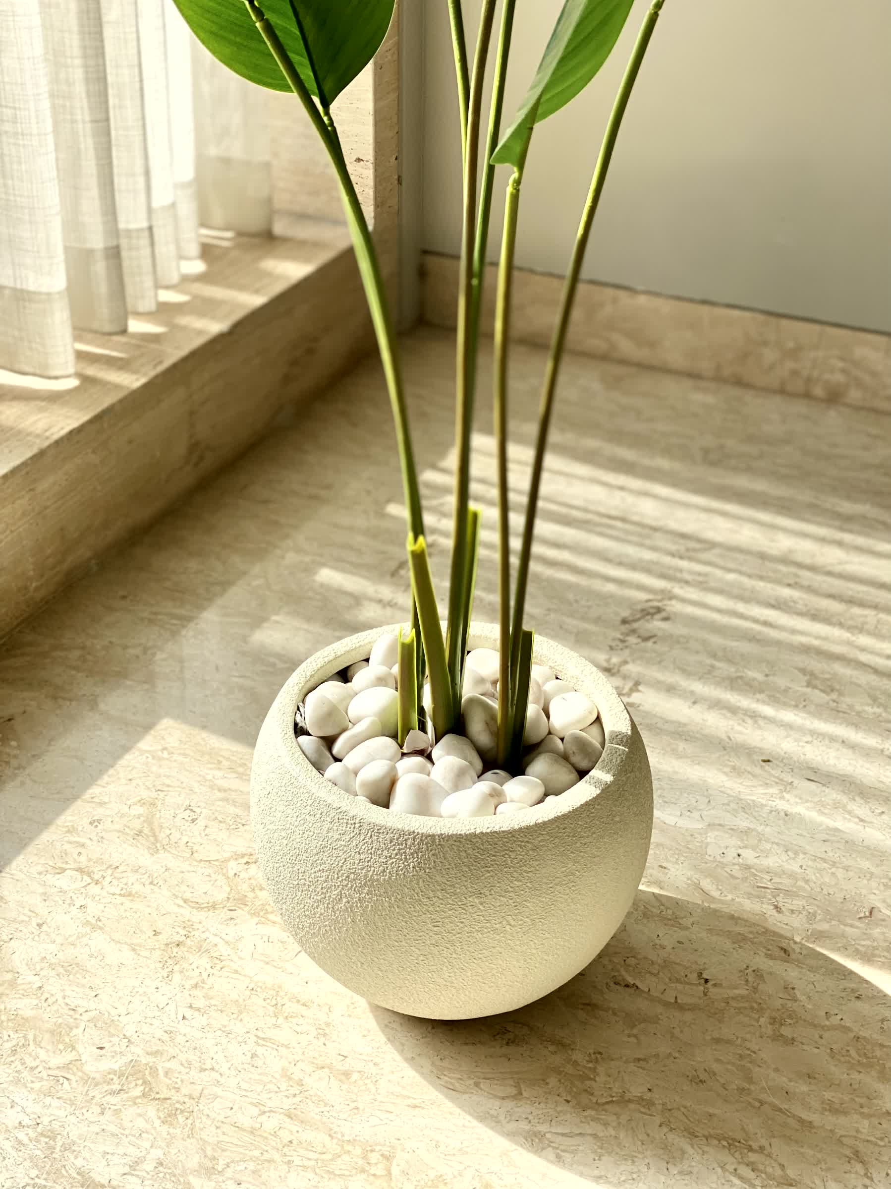 Lithos Ivory Planter - Small