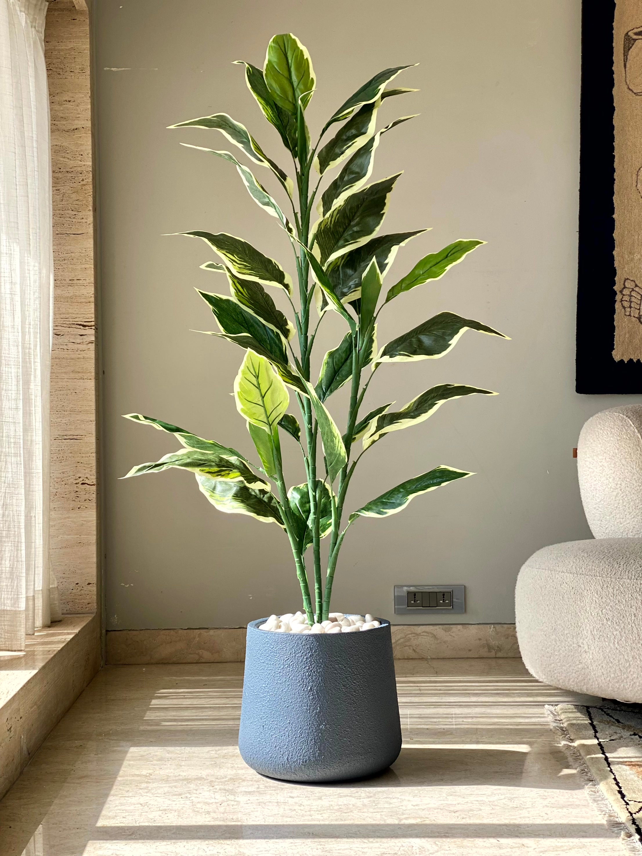 Aalto Planter - Dark grey