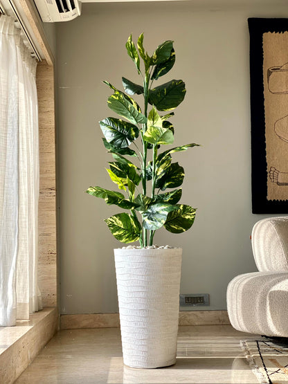 Edena Planters - White