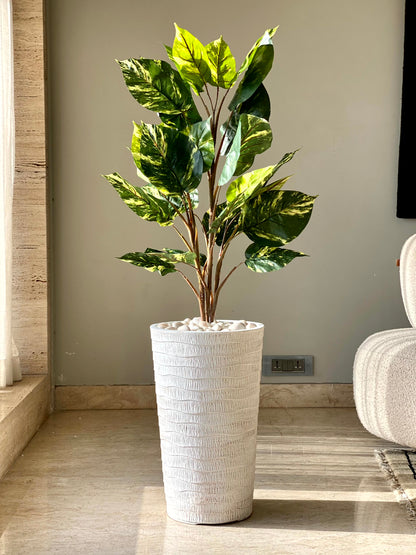 Edena Planters - White