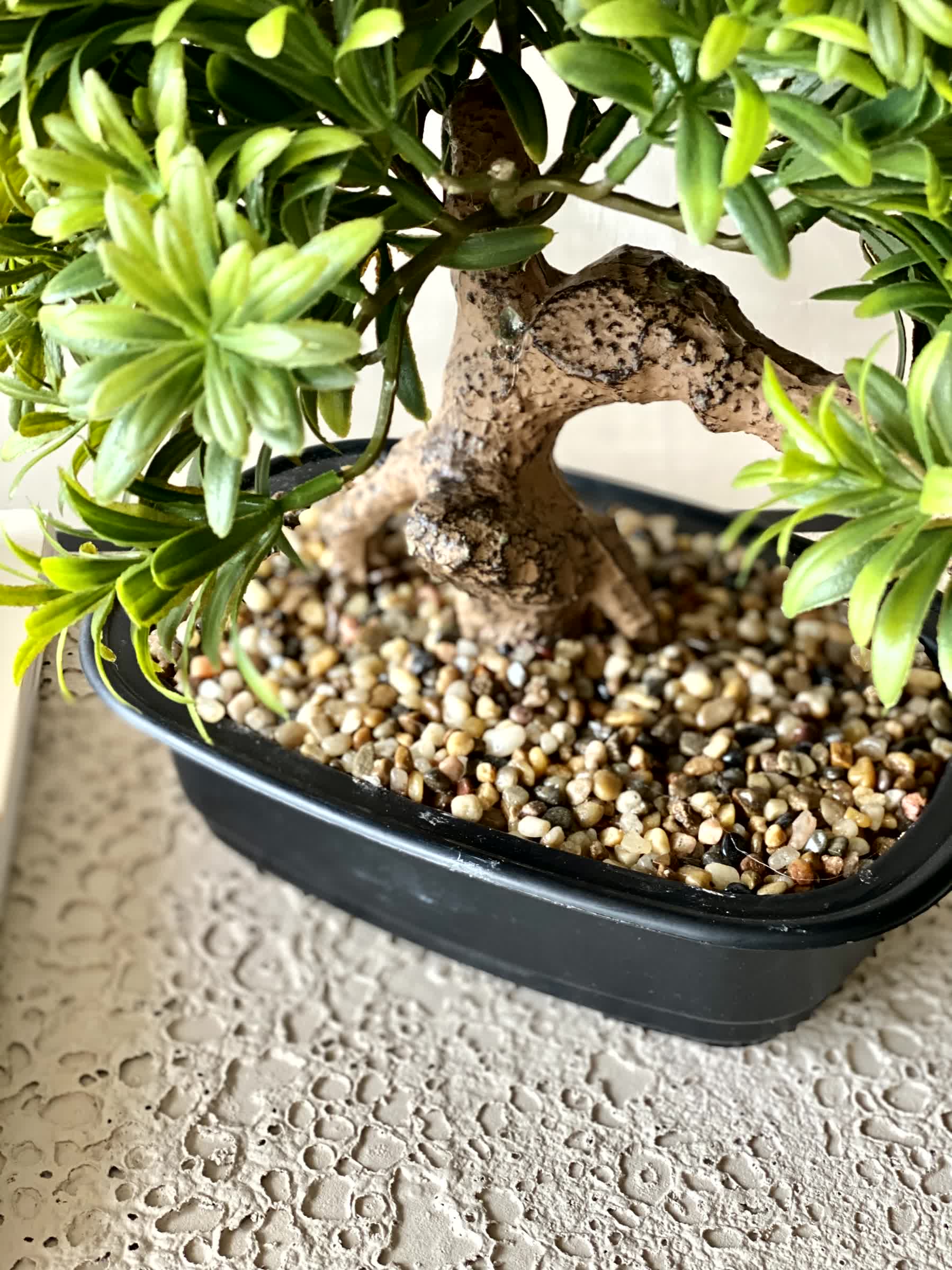 Artificial Pine Bonsai Plant - Medium