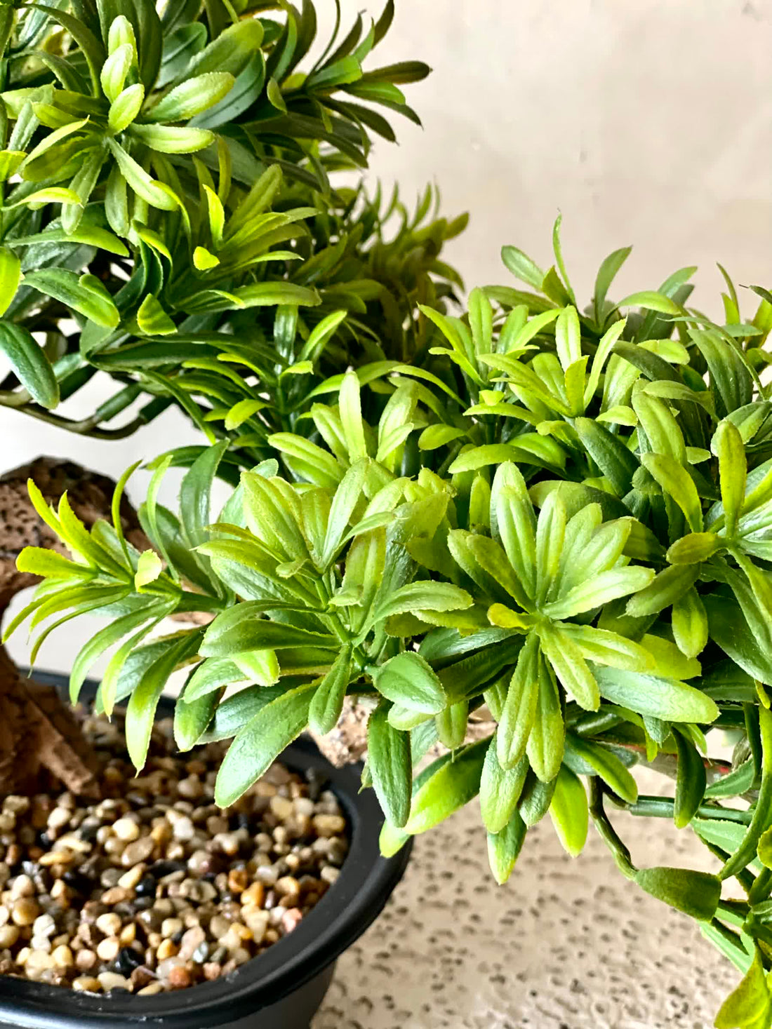 Artificial Pine Bonsai Plant - Medium