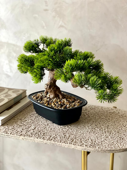 Artificial Pine Bonsai Plant - Small