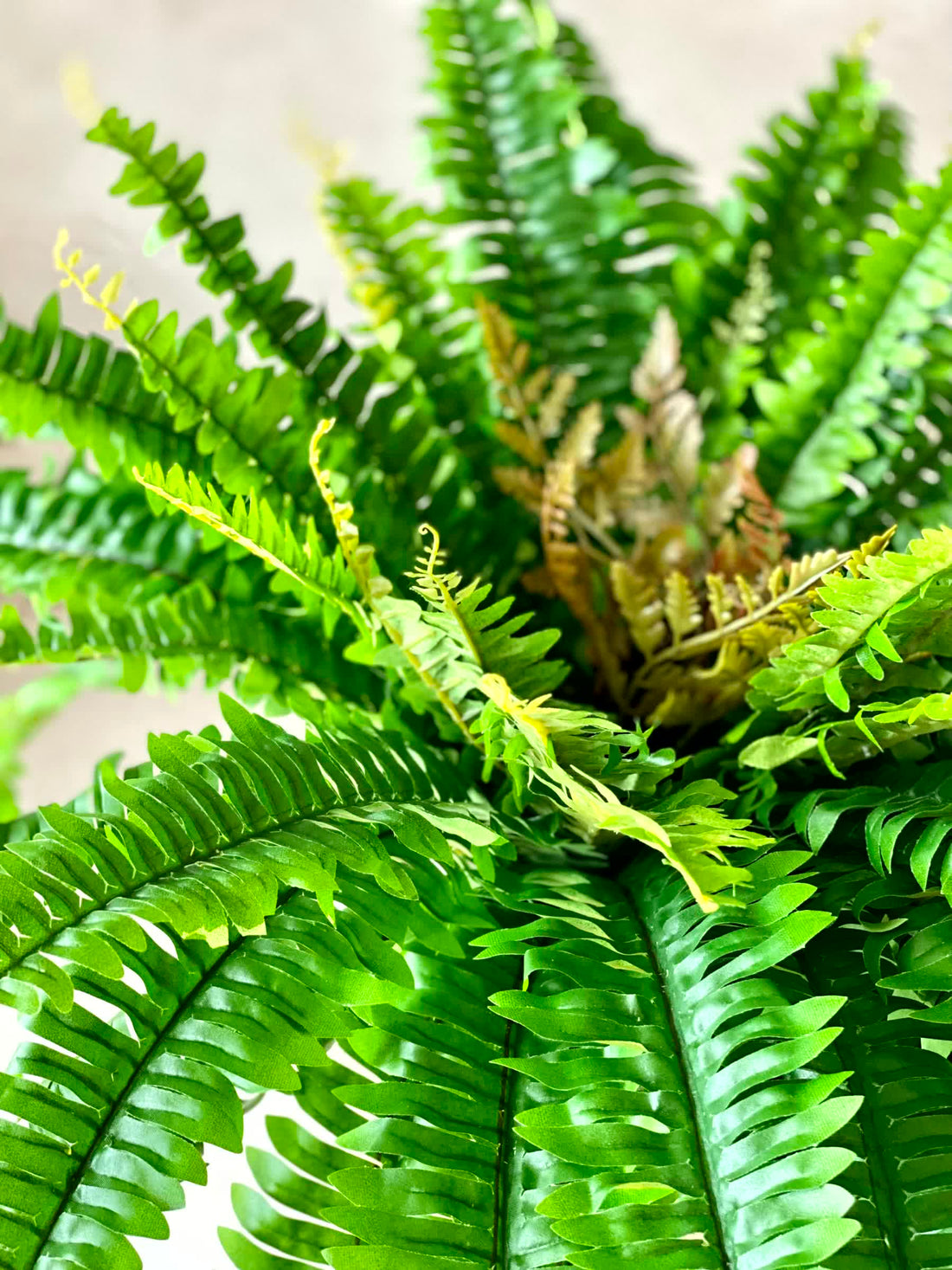 Artificial Boston Fern Plant - 2 Feet
