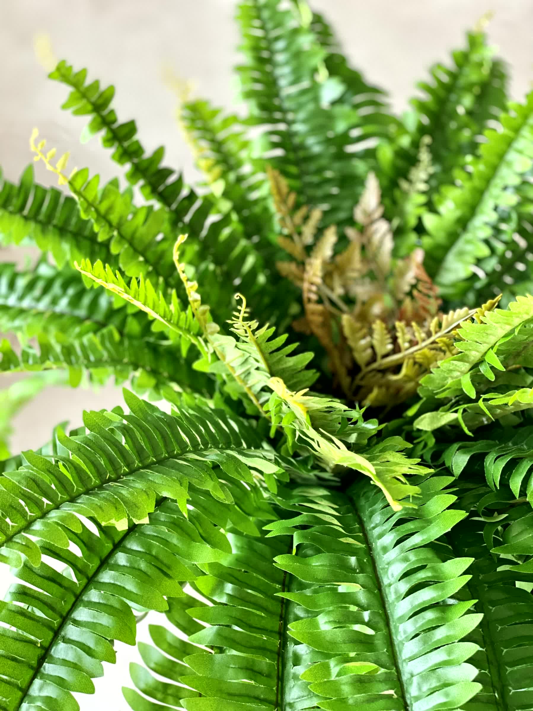 Artificial Boston Fern Plant - 2 Feet