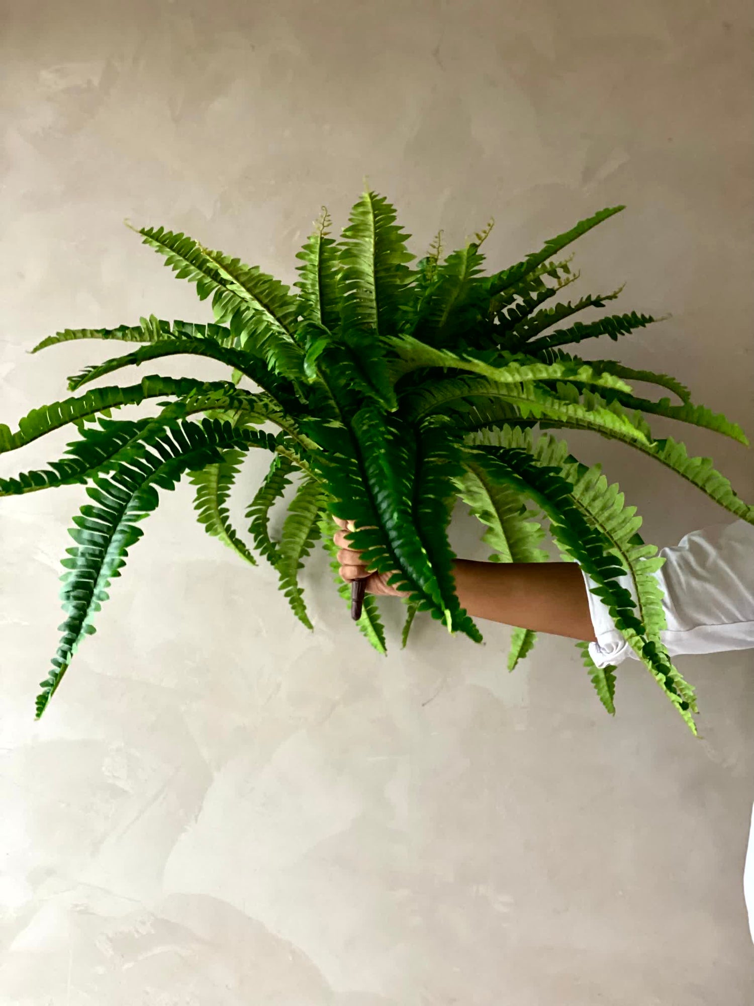 Artificial Boston Fern Plant - 2 Feet