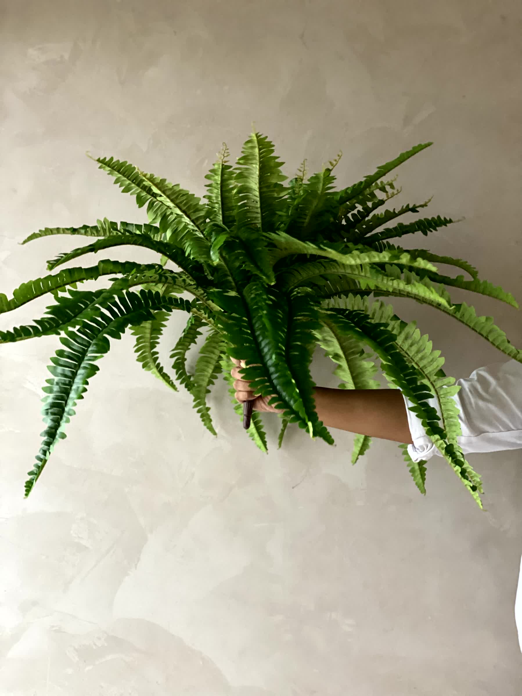 Artificial Boston Fern Plant - 2 Feet