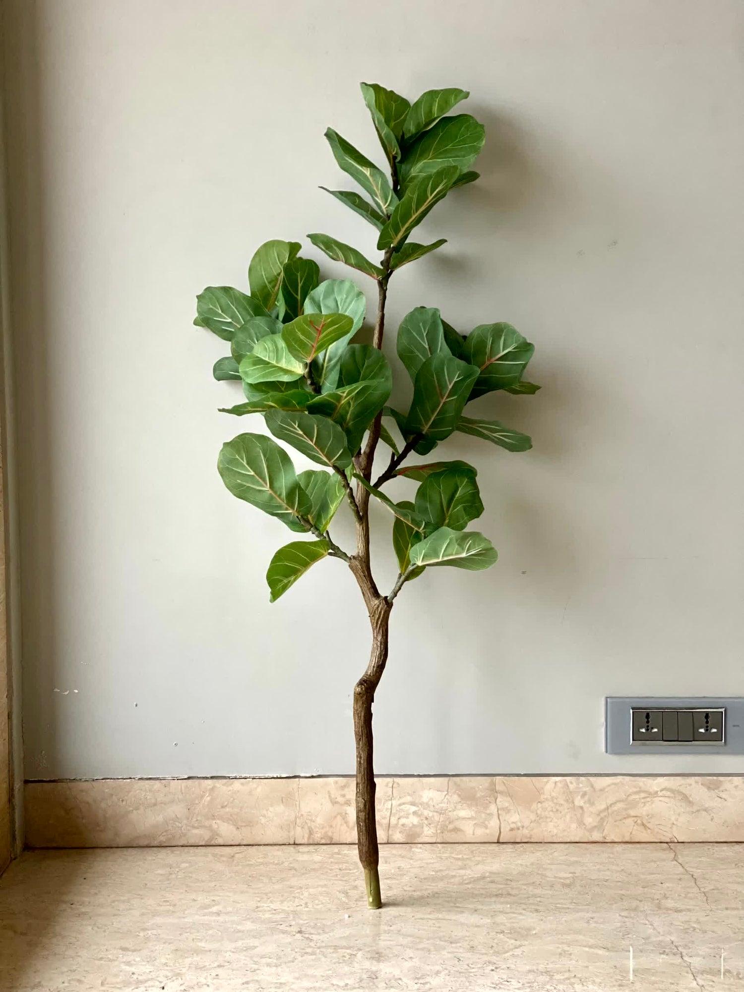 Artificial Fiddle Fig Plant - 4 Feet