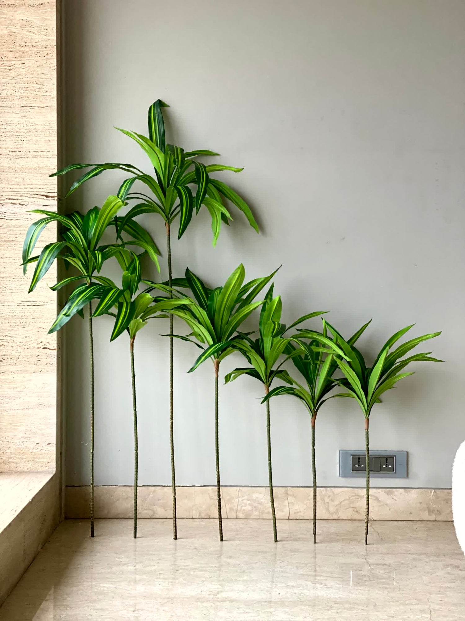 Artificial Botanic Dracaena Plant -  4.5 Feet
