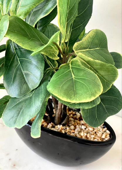 Artificial Fiddle Fig Bonsai Plant -1 Feet