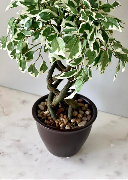 Artificial Variegated Ficus Plant – 1.3 Feet
