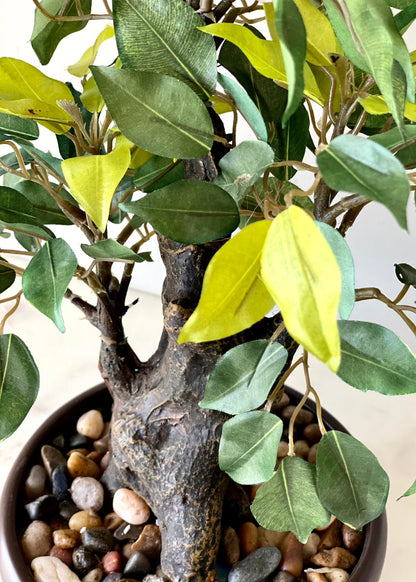 Artificial Ficus Bonsai Plant - 1 Feet