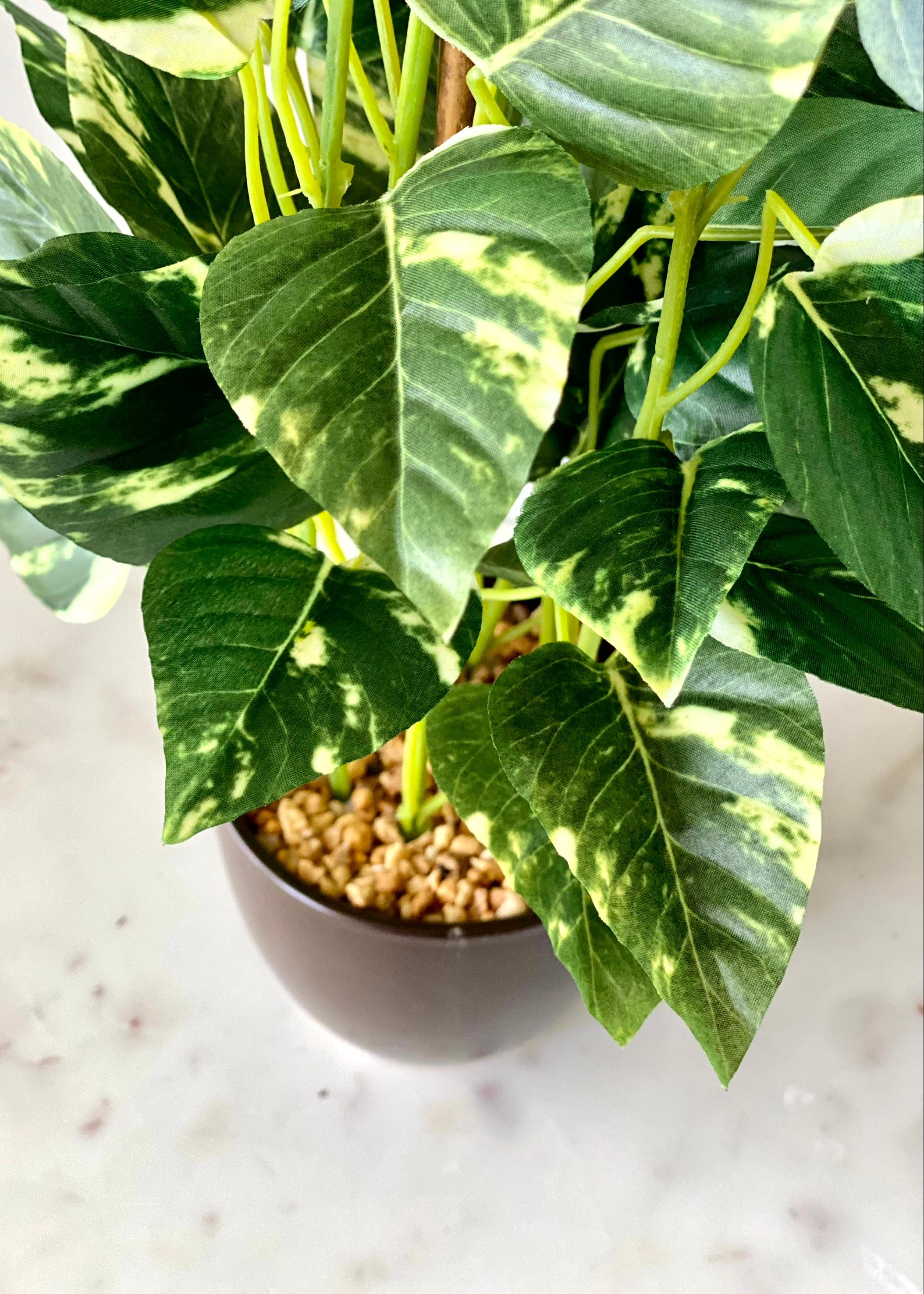 Artificial Bonsai Money Plant  – 1.6 Feet