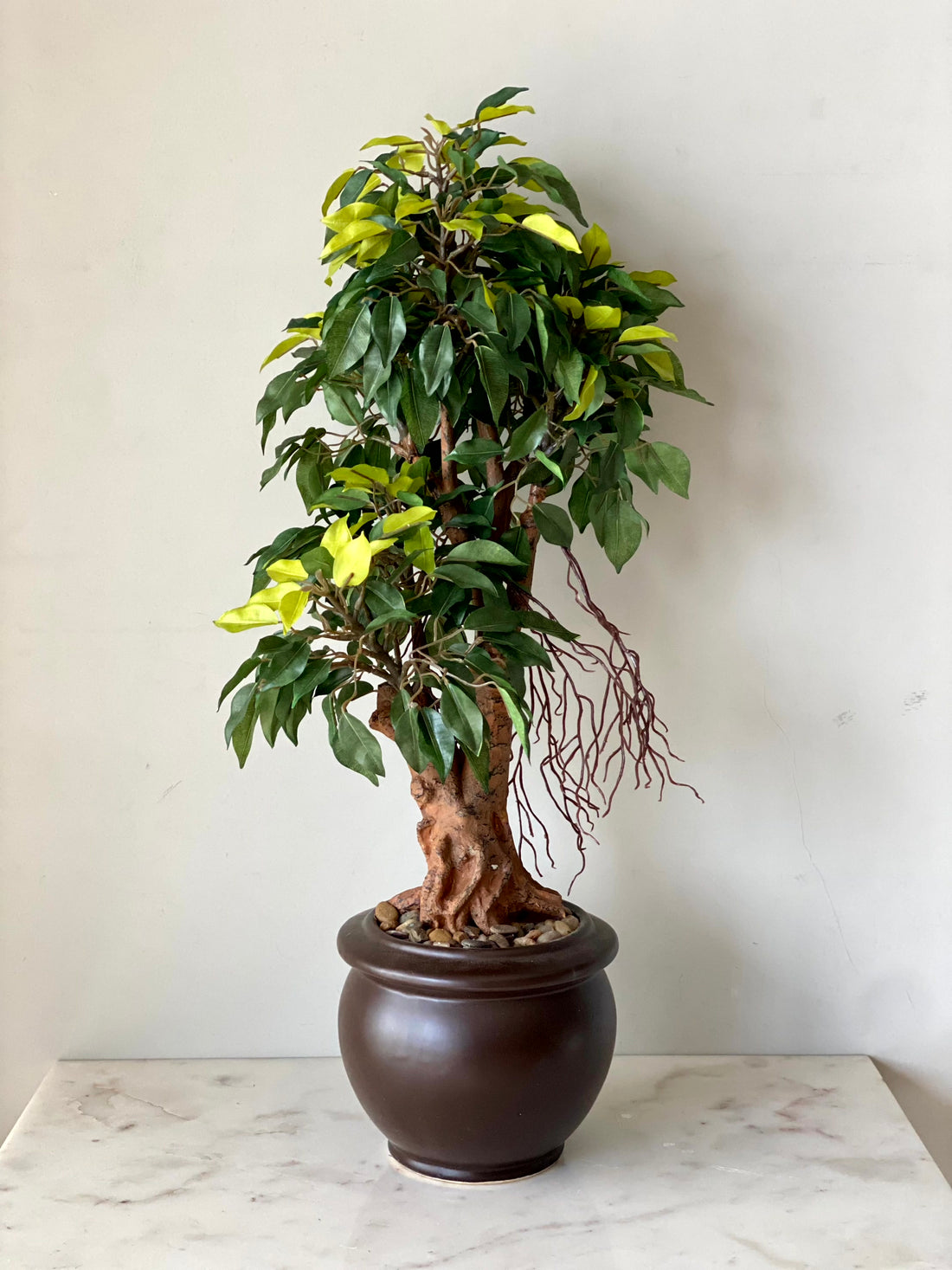 Artificial Regal Ficus Bonsai Plant - 2 Feet
