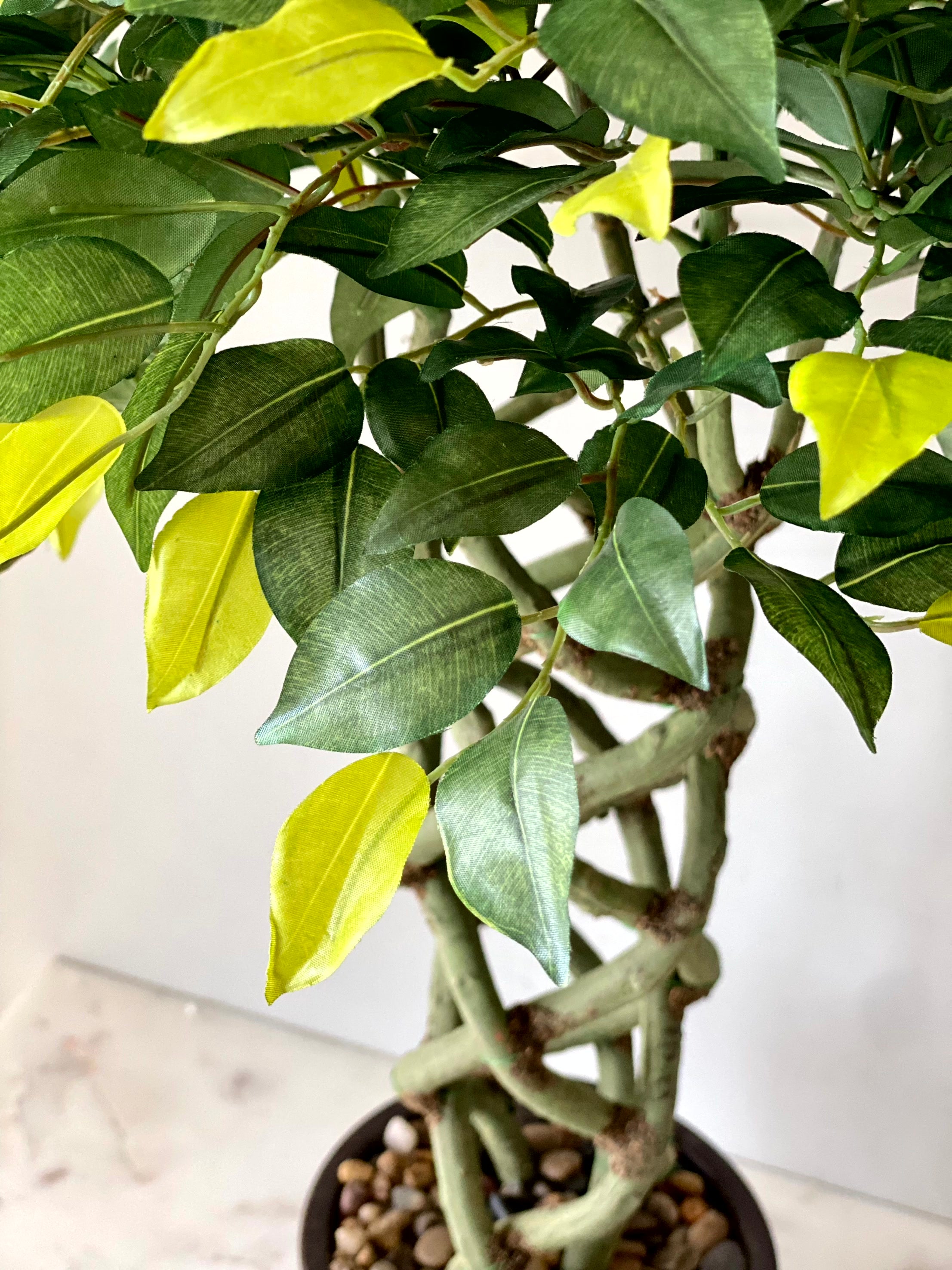 Artificial Braided Ficus Topiary Plant - 2.3 Feet