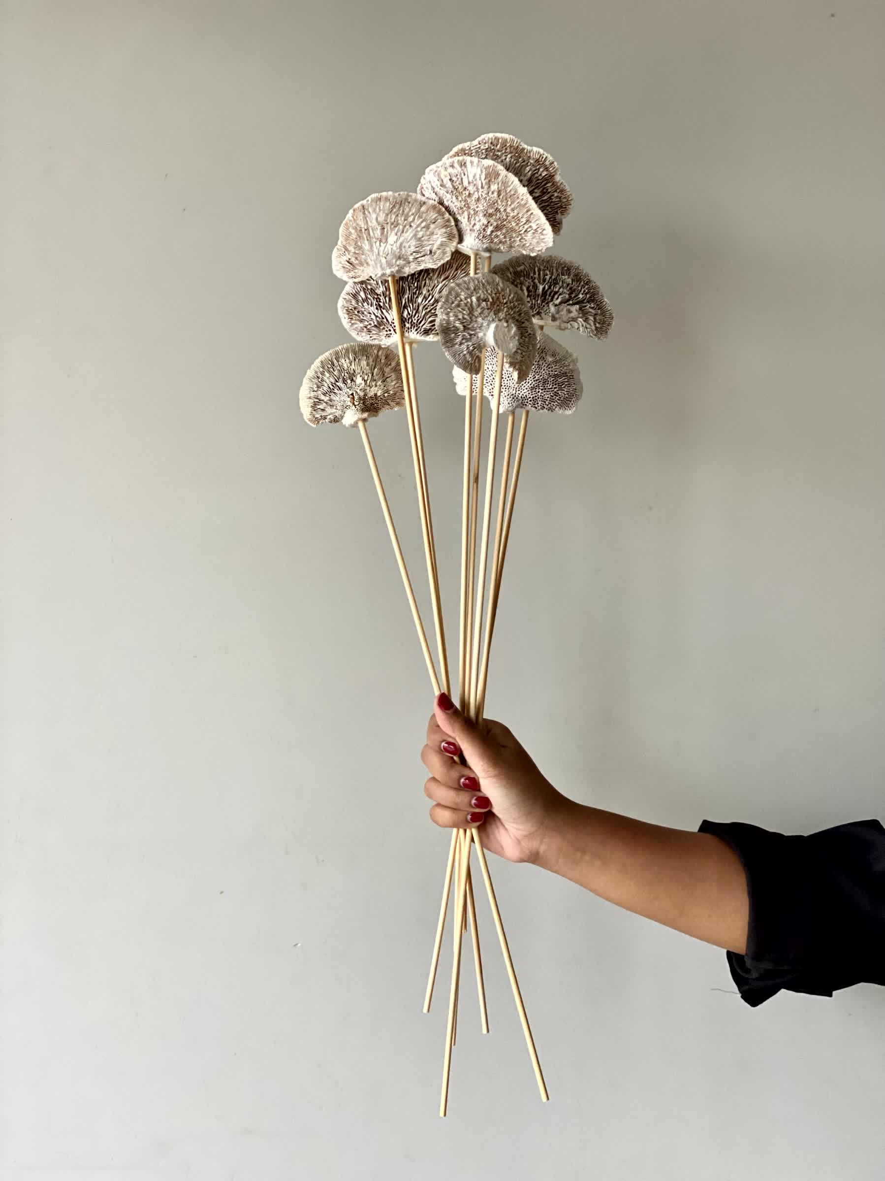 Wild Mushroom Bunch - (Beige)Set of 8