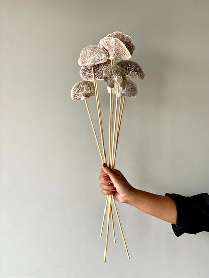 Wild Mushroom Bunch - (Beige)Set of 8