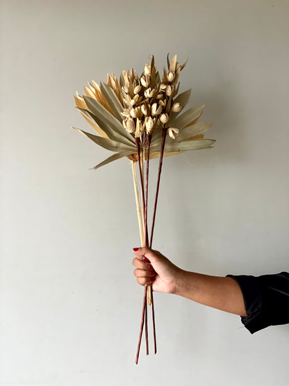 Desert Bakuli Palm Bunch