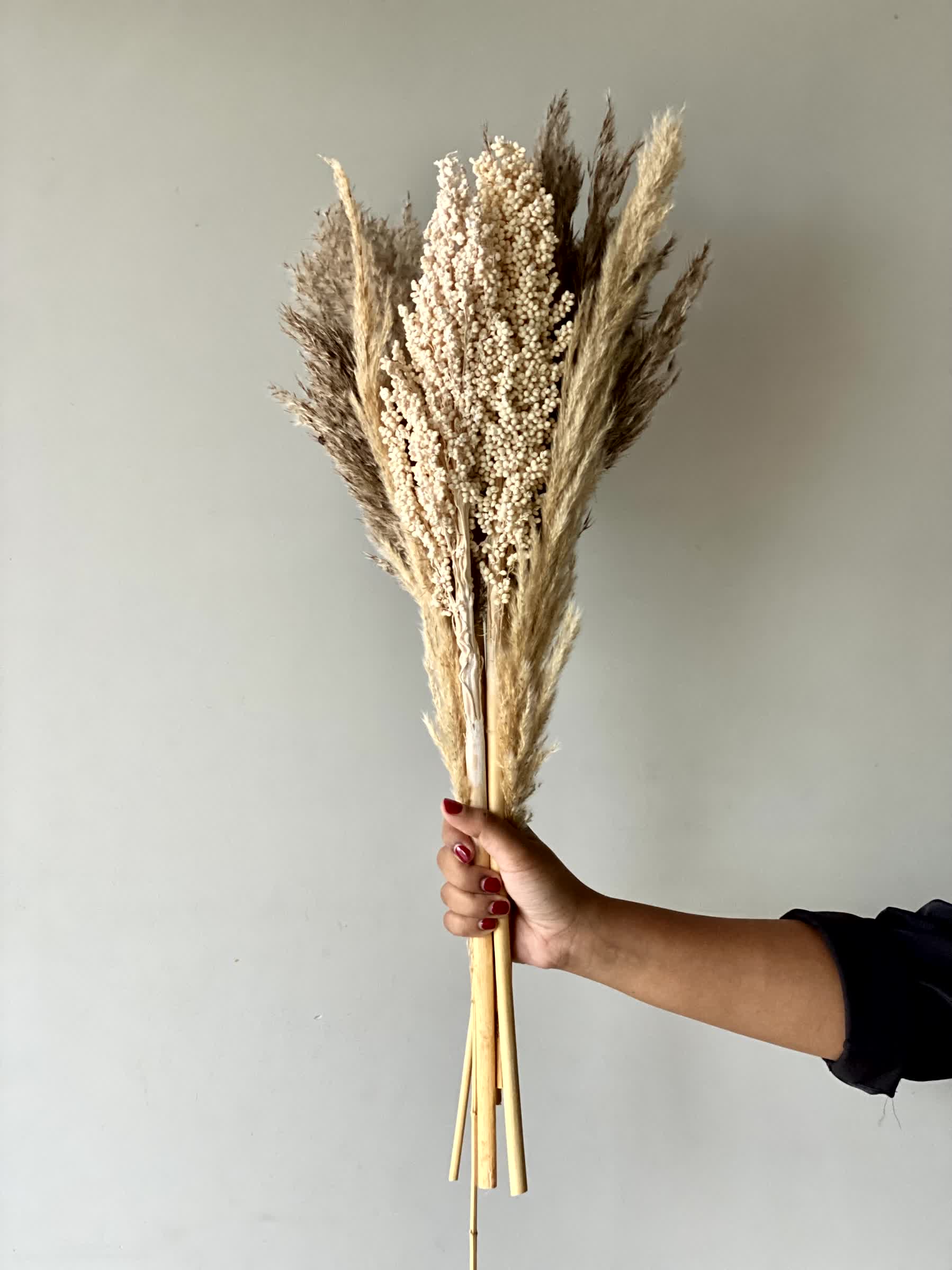 Pampas Corn Harmony Bunch