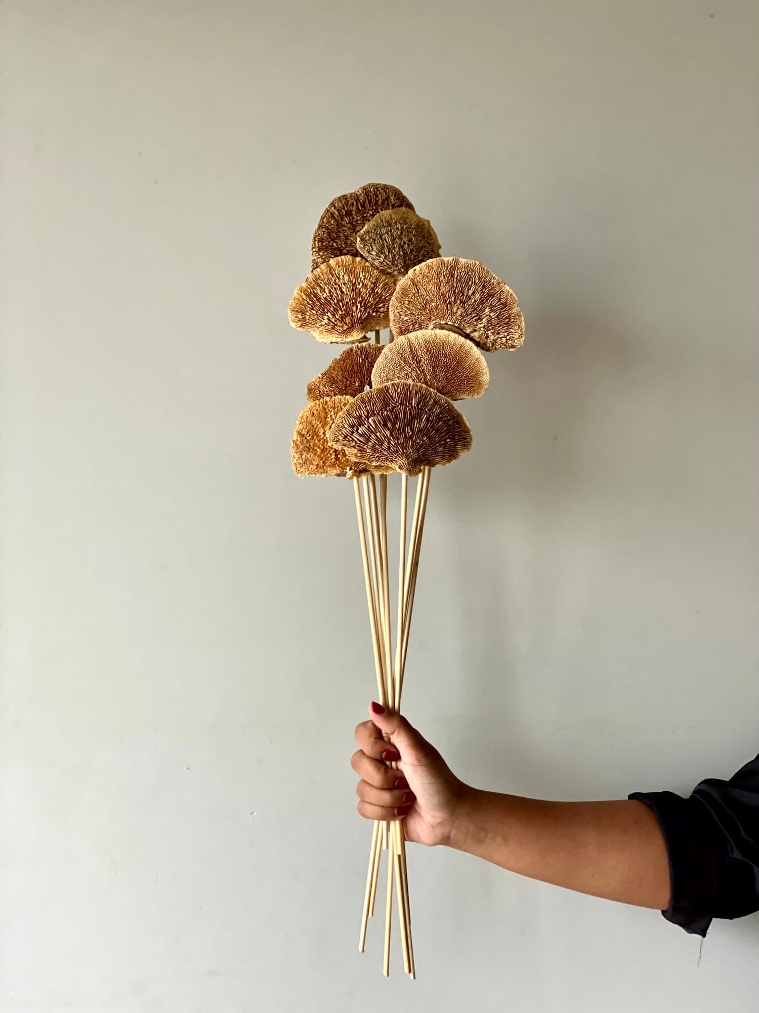 Wild Mushroom Bunch - (Brown)Set of 8