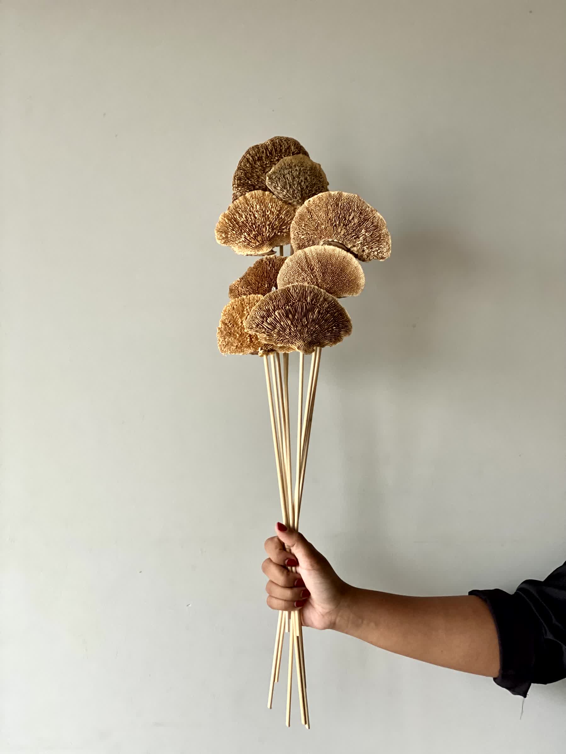 Wild Mushroom Bunch - (Brown)Set of 8