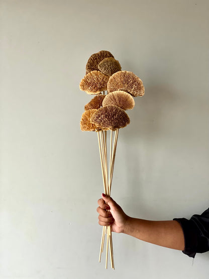 Wild Mushroom Bunch - (Brown)Set of 8