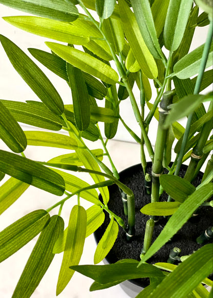 Artificial Belgian Bamboo Plant - 1 Feet