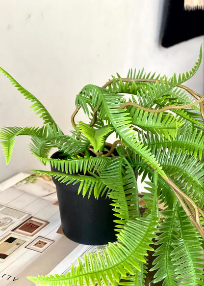 Artificial Boston Hanging  Fern