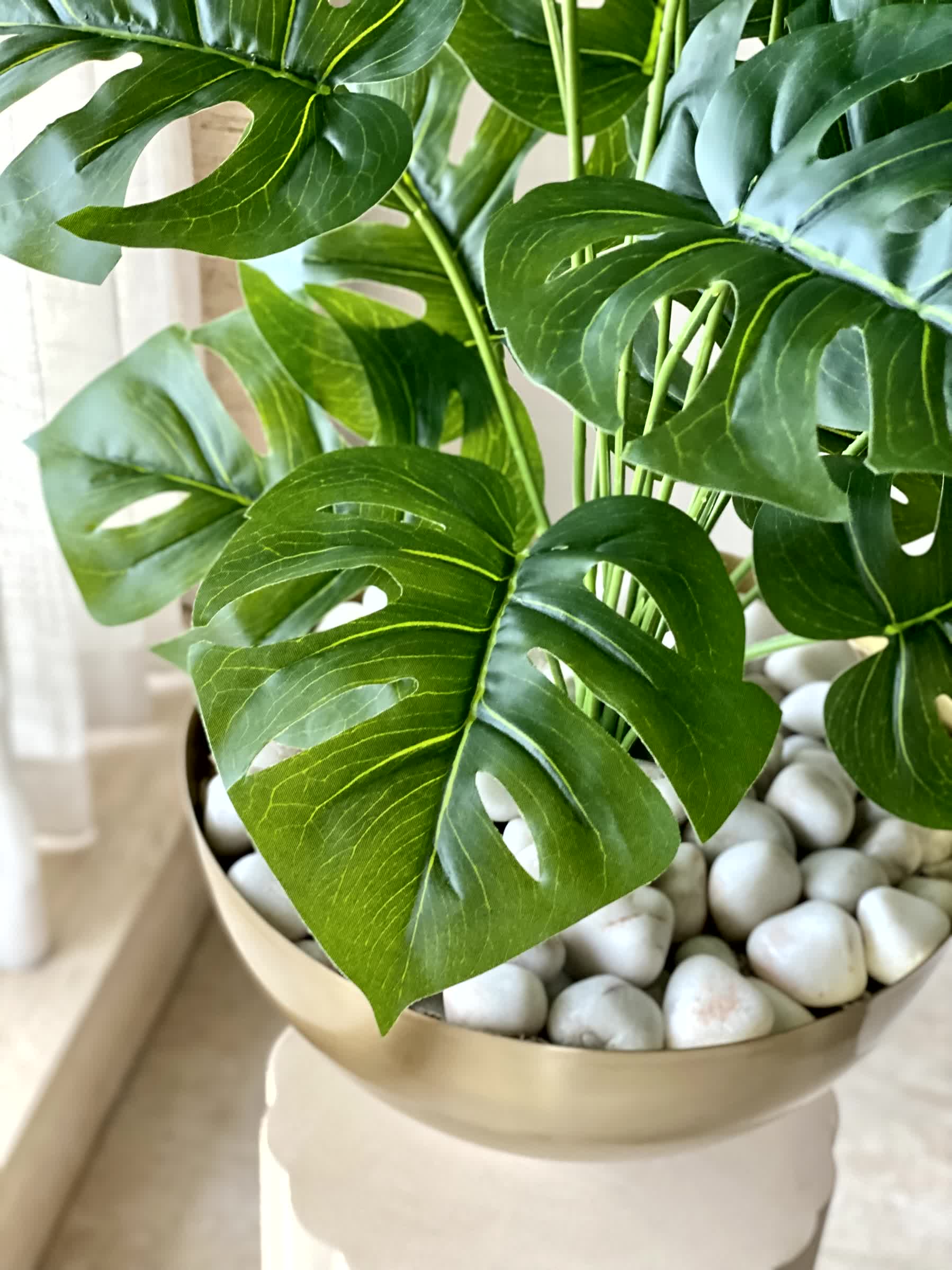 Artificial Botanic Monstera Plant- 2 Feet