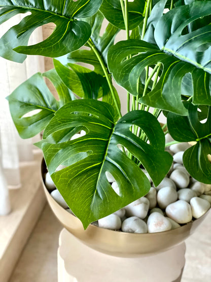 Artificial Botanic Monstera Plant- 2 Feet