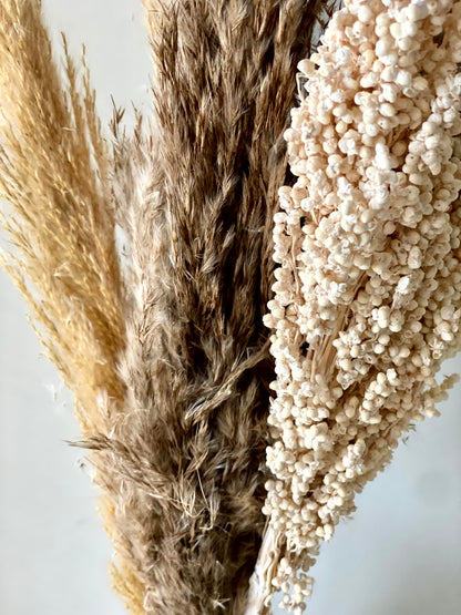 Pampas Corn Harmony Bunch