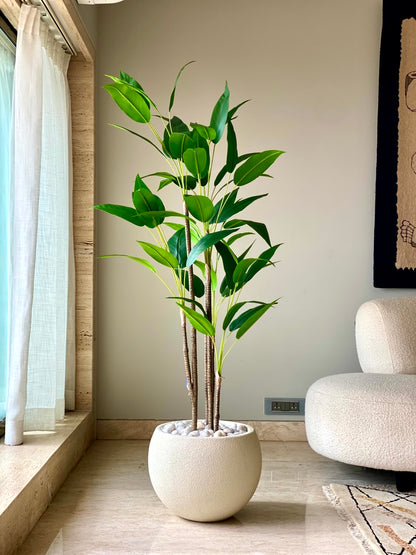 Artificial Tropical Dracaena Plant - 5 Feet