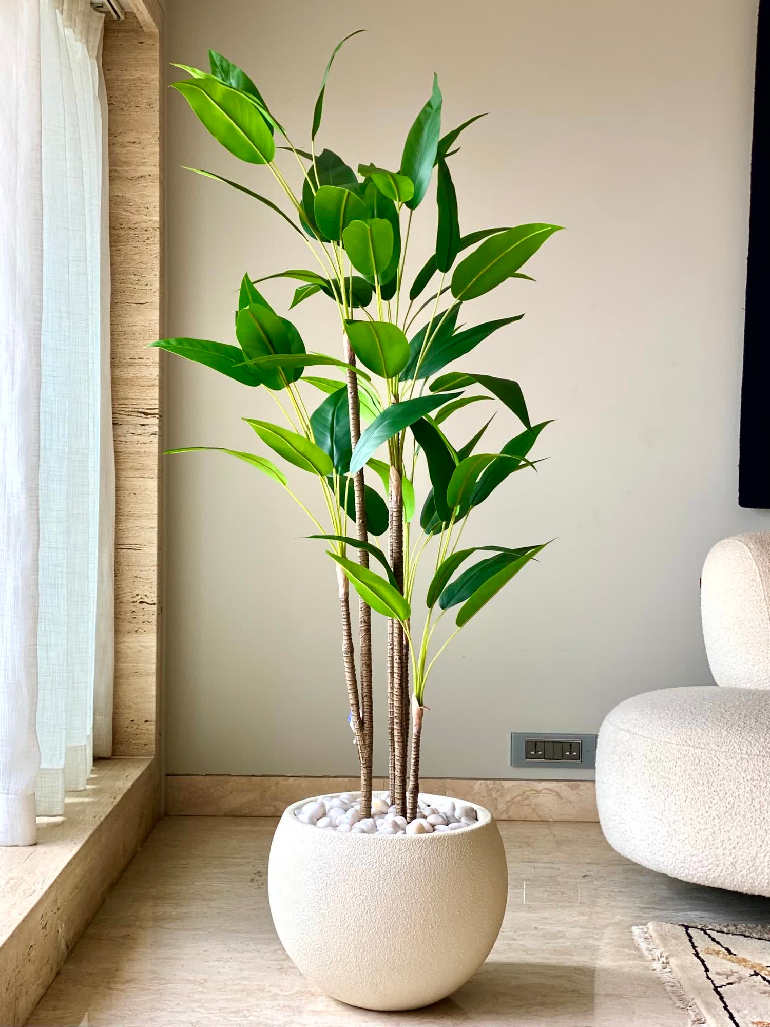 Artificial Tropical Dracaena Plant - 5 Feet