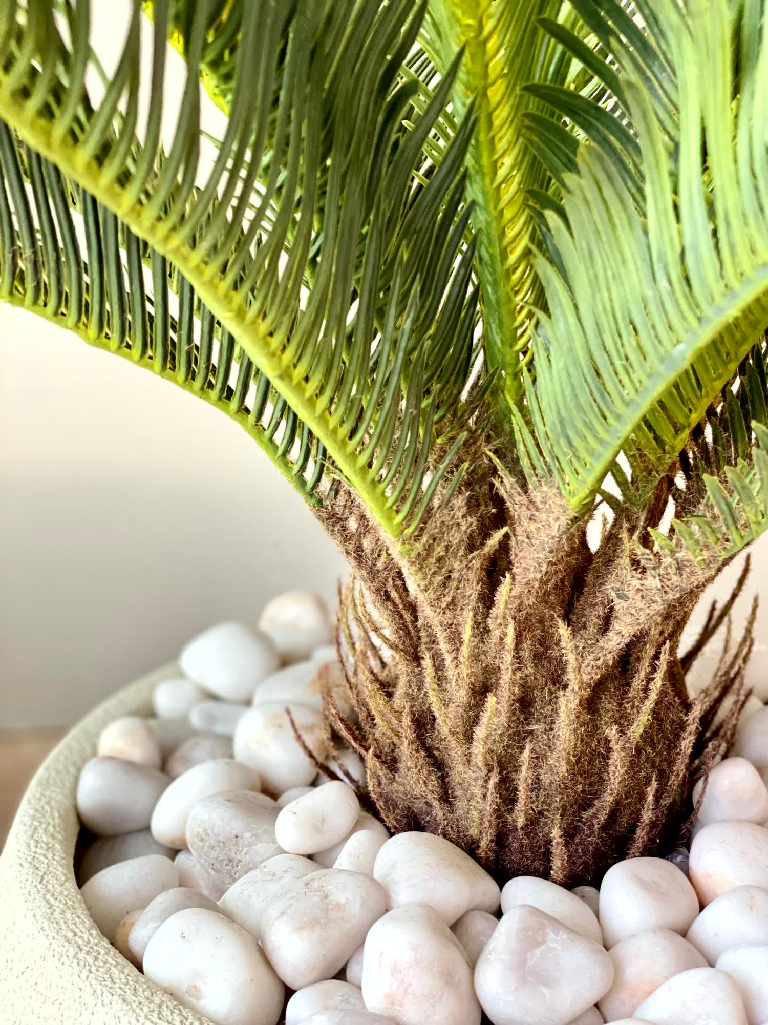 Artificial Cycas Plant - 3 Feet