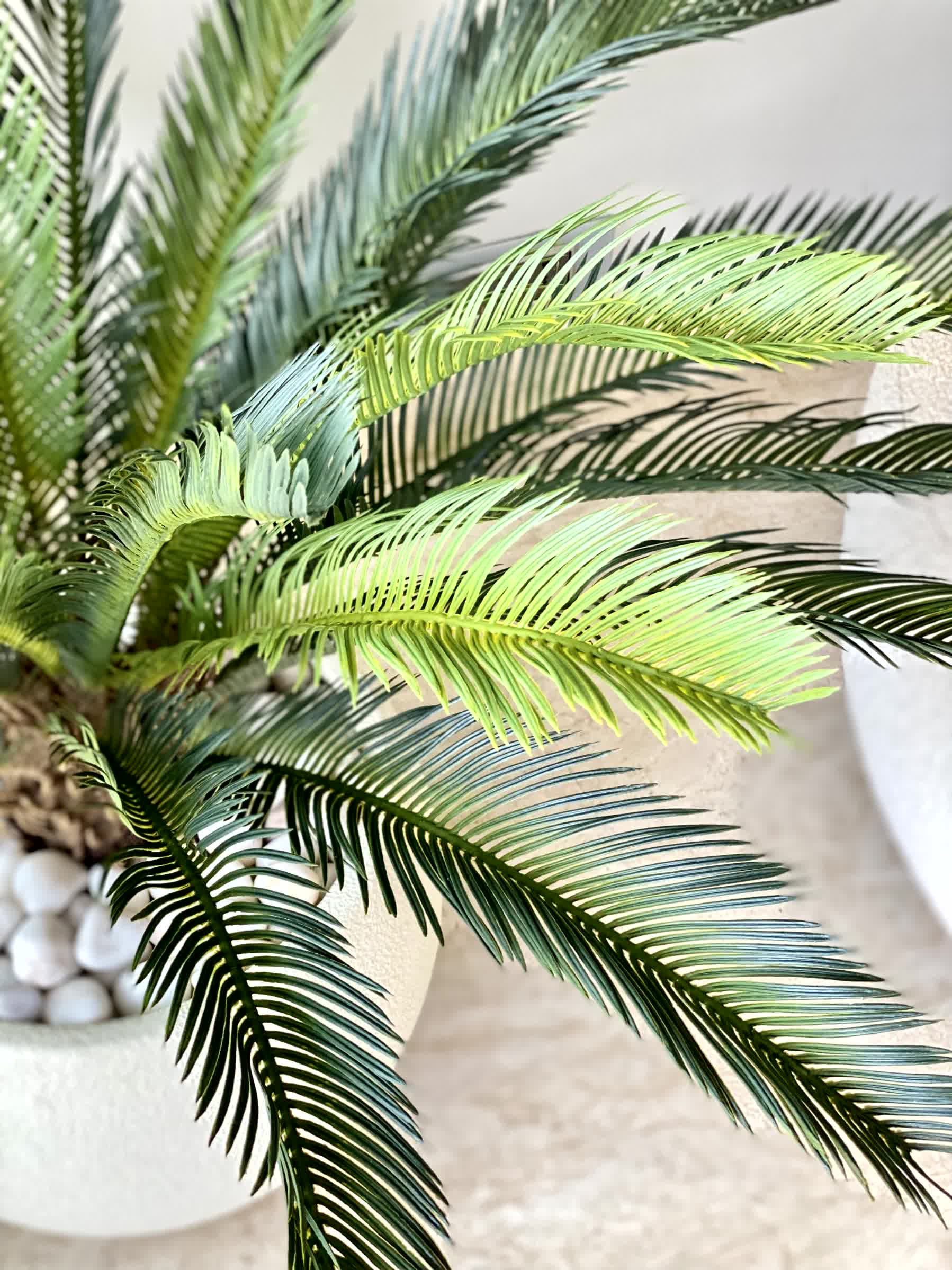 Artificial Cycas Plant - 3 Feet