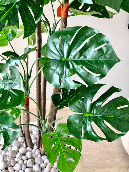 Artificial Crest Monstera Plant - 5.5 Feet