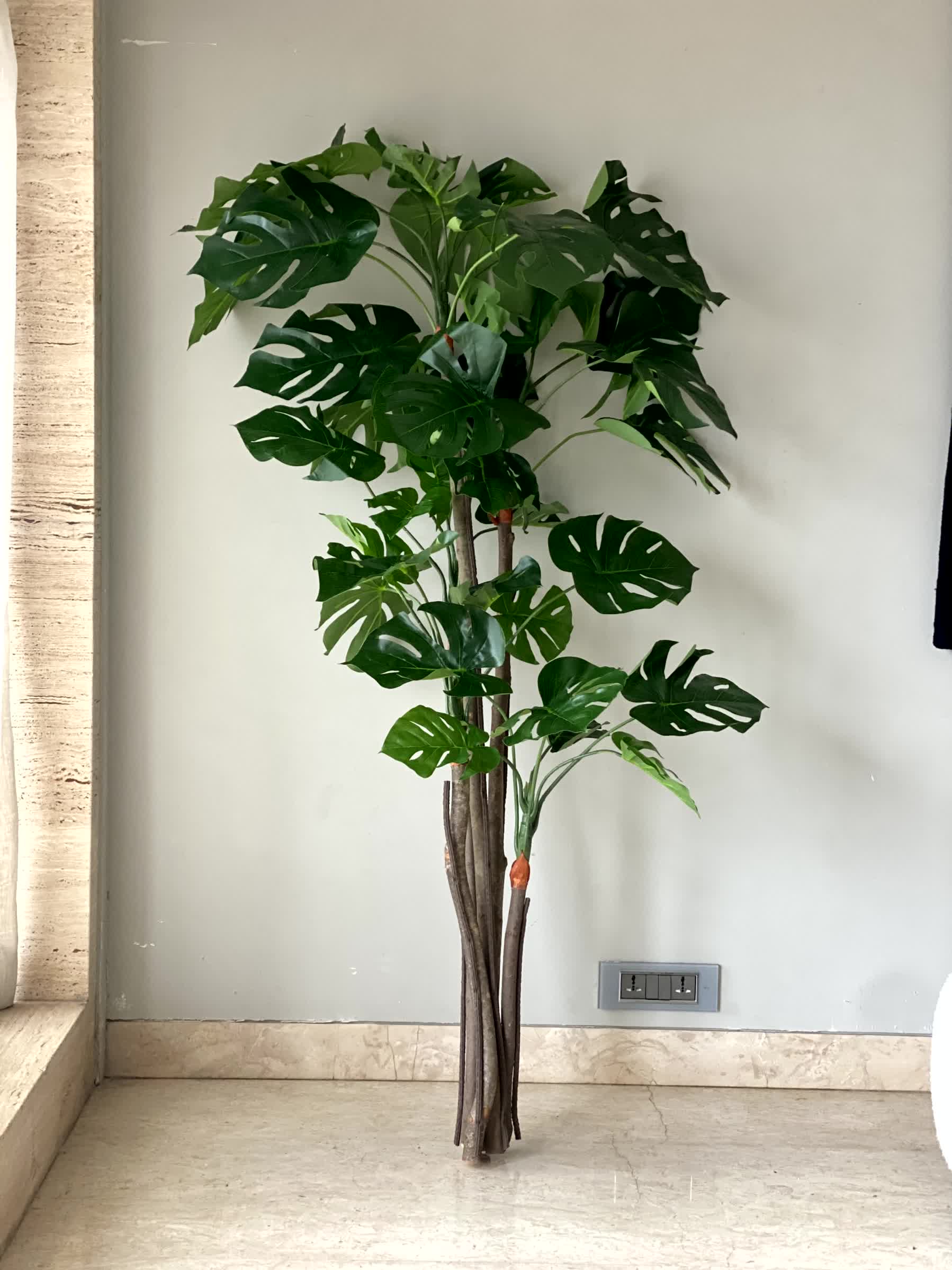 Artificial Crest Monstera Plant - 5.5 Feet
