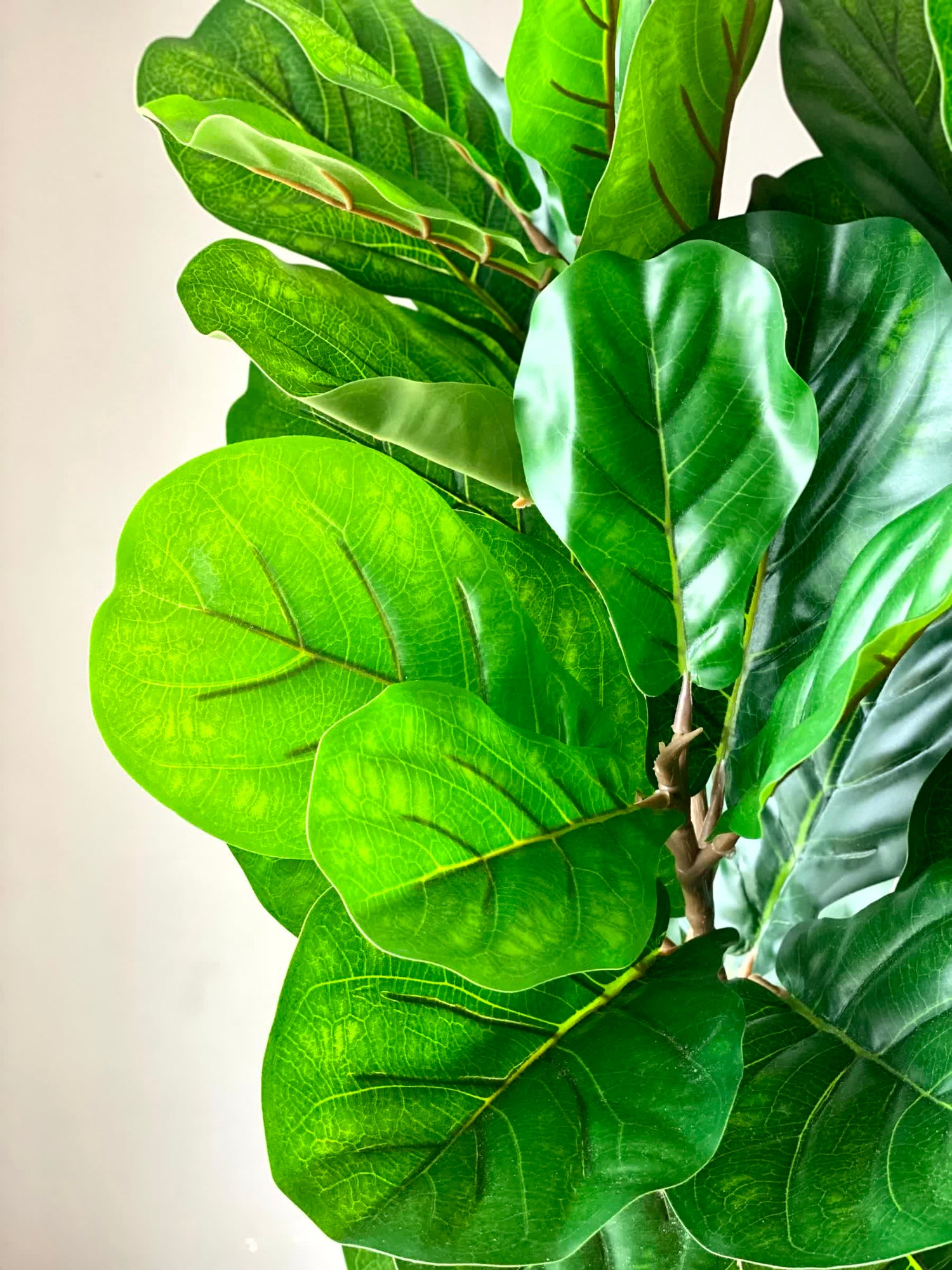 Artificial Verde Fiddle Fig Plant - 5 Feet