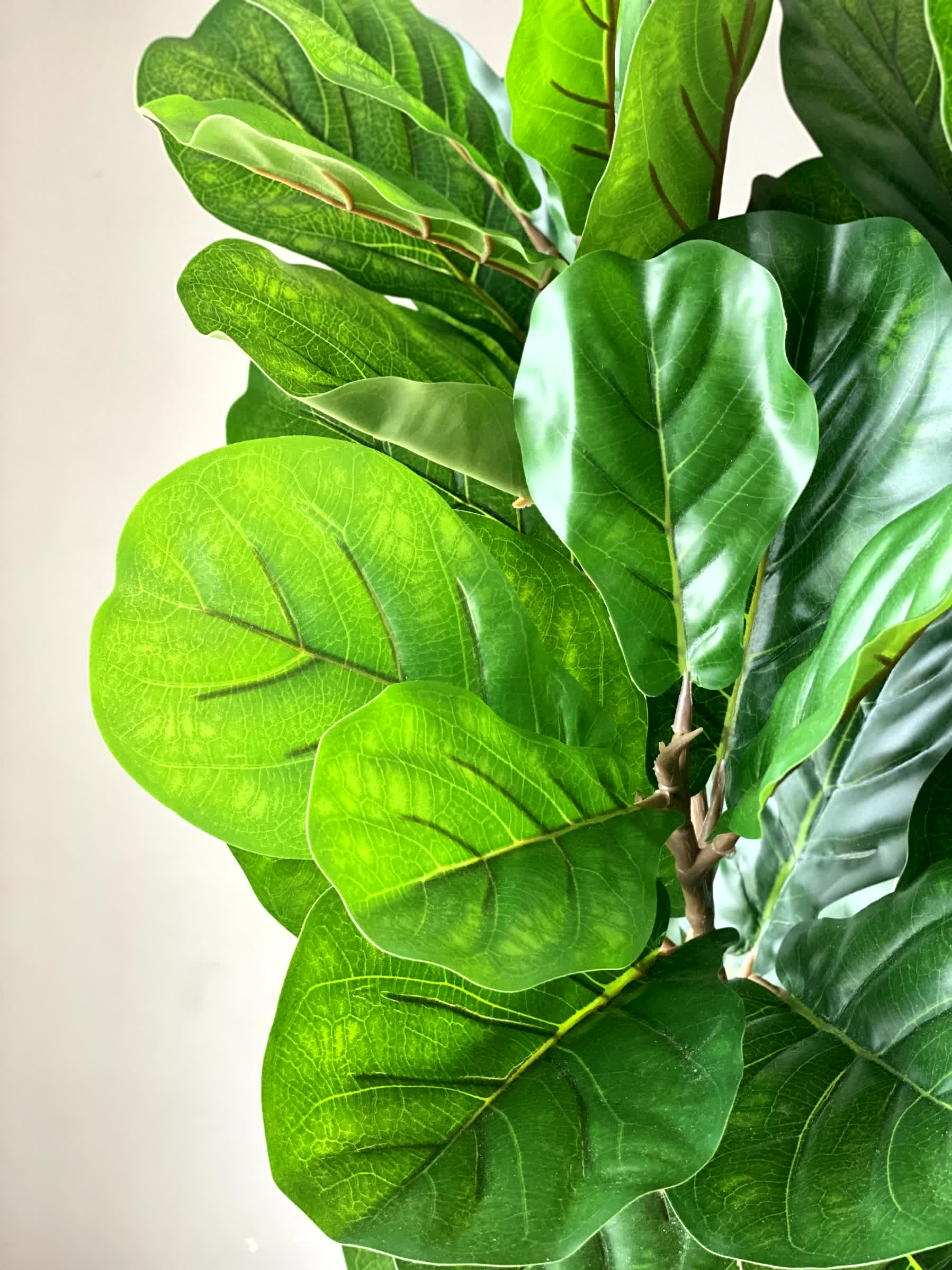 Artificial Verde Fiddle Fig Plant - 5 Feet