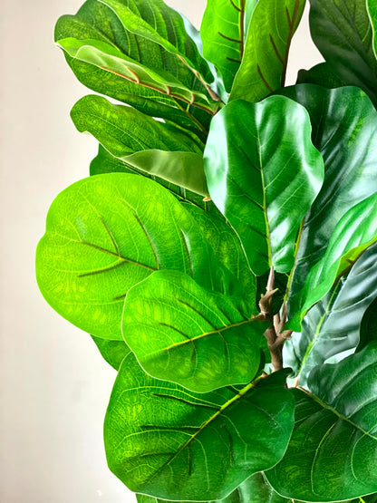 Artificial Verde Fiddle Fig Plant - 5 Feet