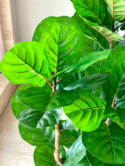 Artificial Verde Fiddle Fig Plant - 4 Feet