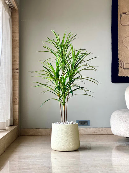 Artificial Serene Dracaena Plant - 4 Feet