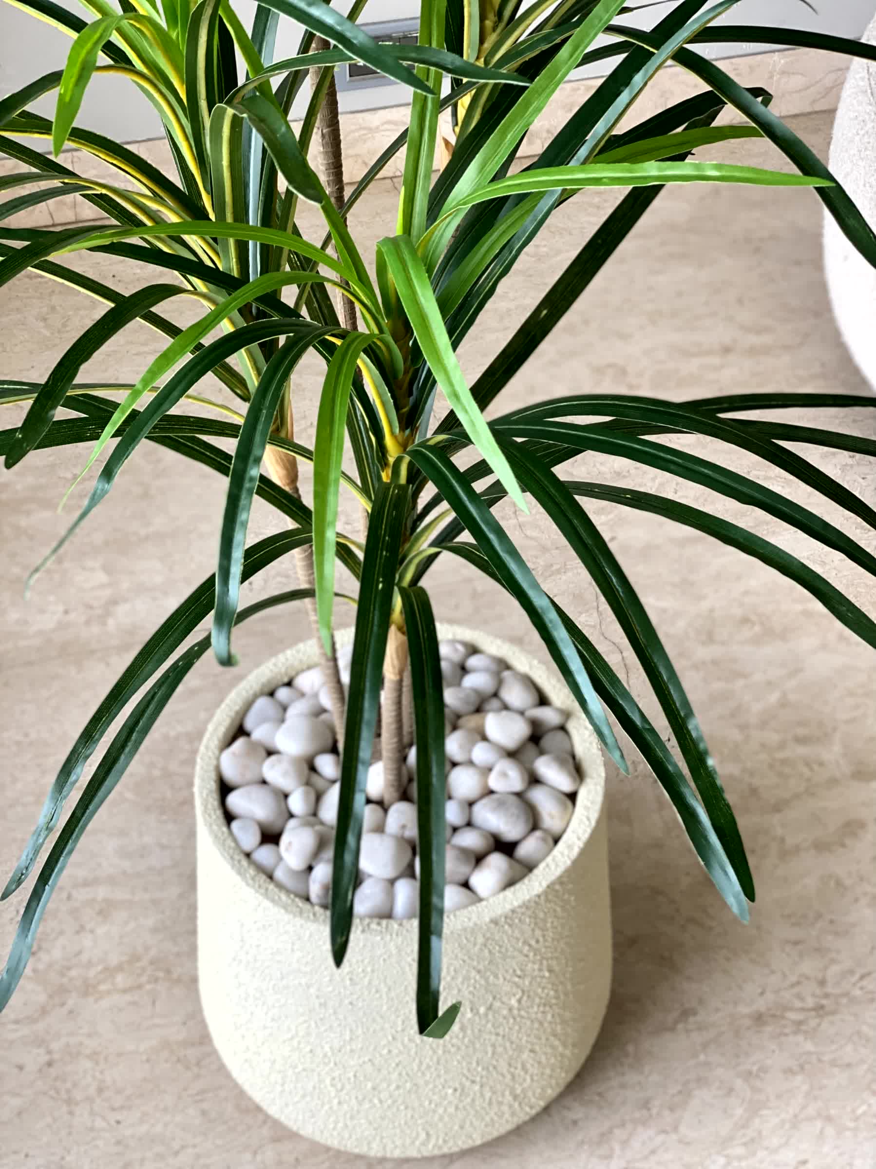 Artificial Serene Dracaena Plant - 4 Feet