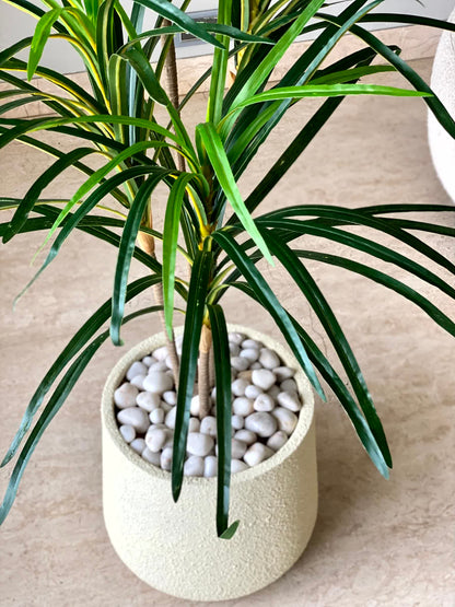 Artificial Serene Dracaena Plant - 4 Feet