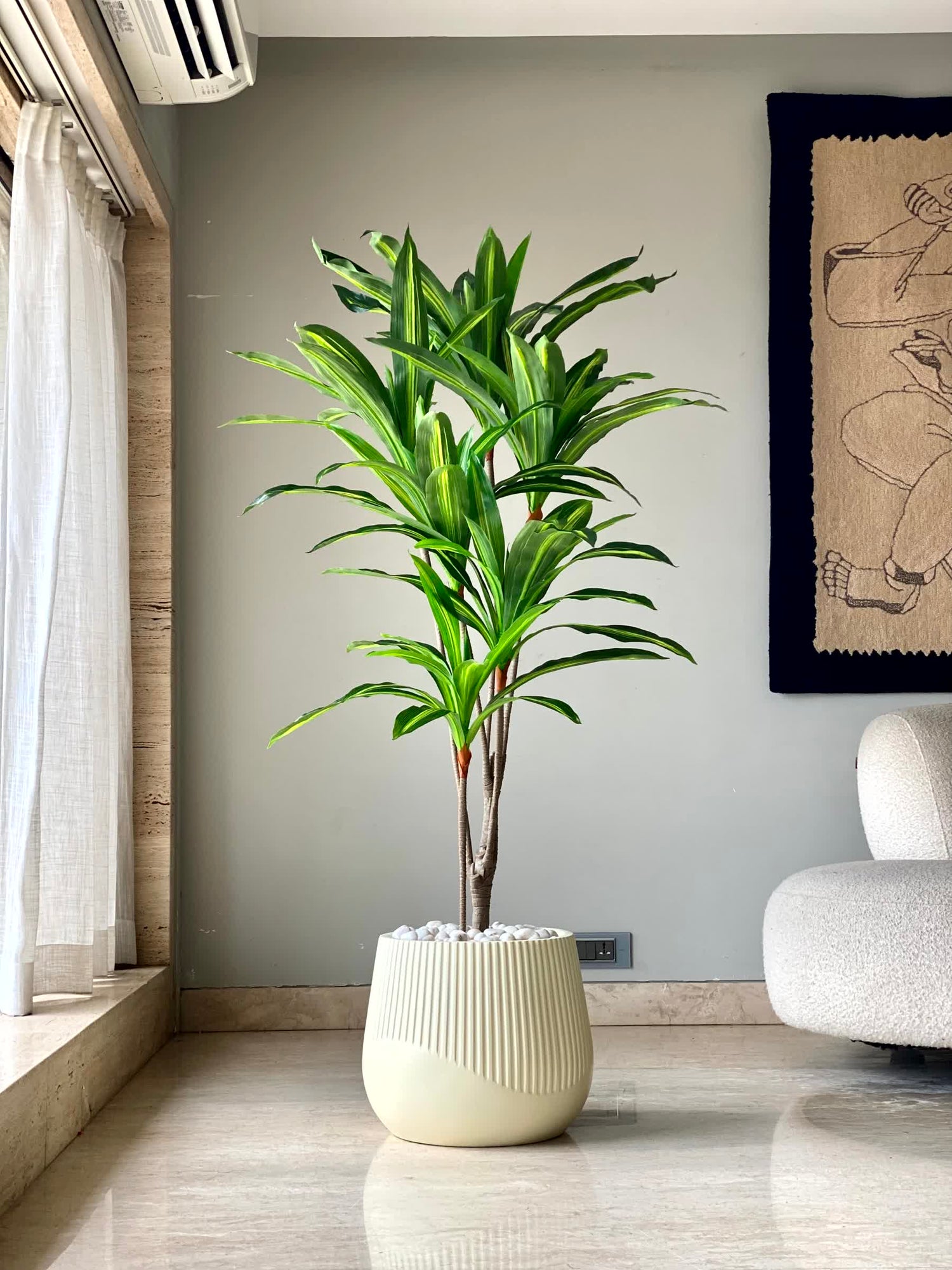 Artificial Serene Dracaena Plant - 5.5 Feet