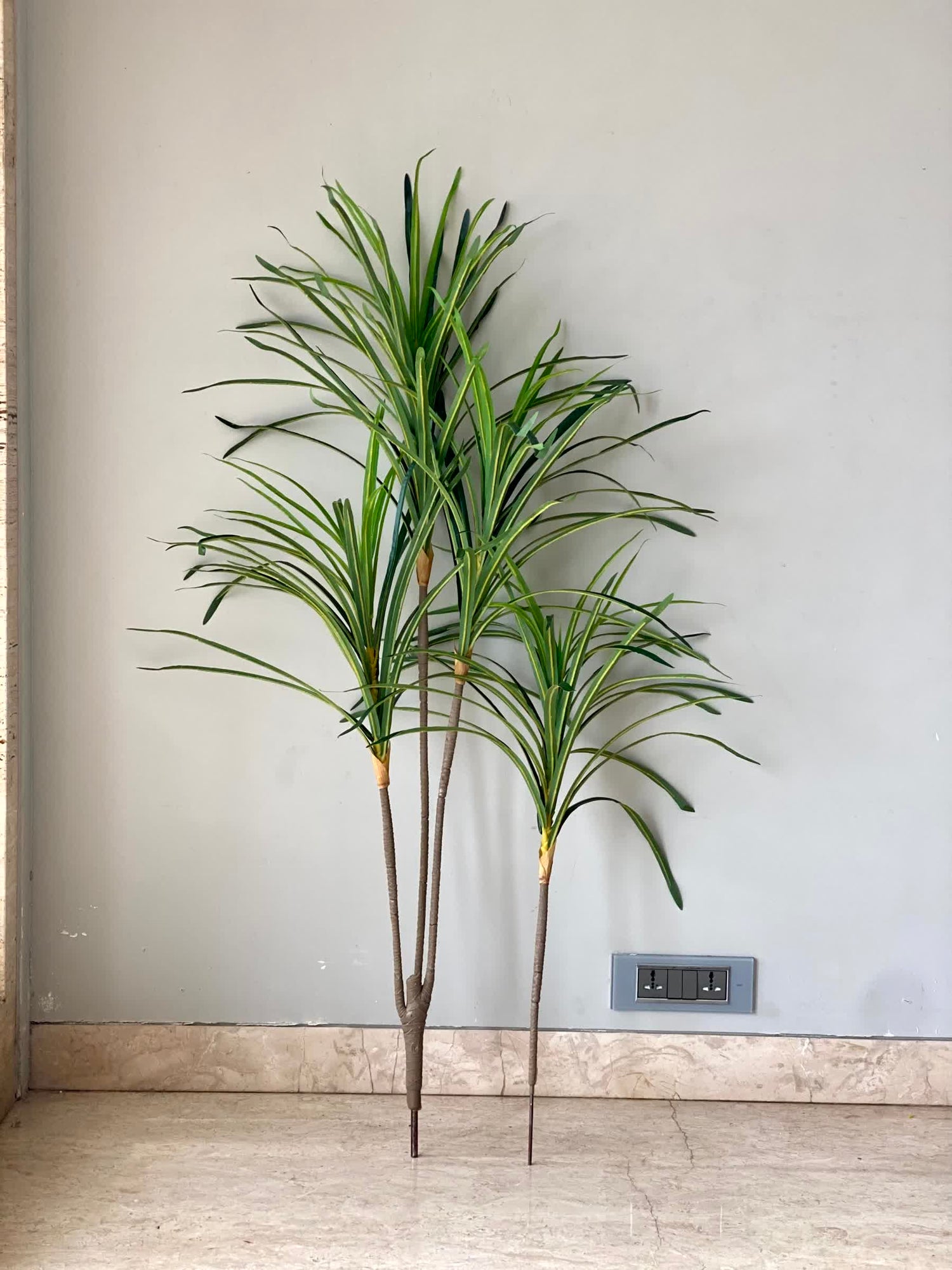 Artificial Serene Dracaena Plant - 4 Feet